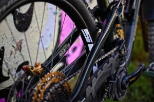 240508-ws-edr-fl-jakam-11-min